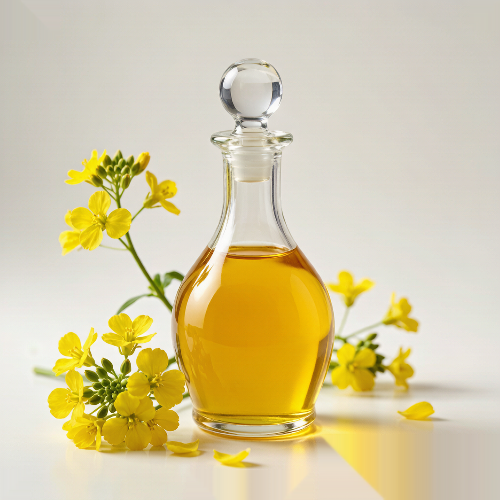 Rapeseed Oil Flavor