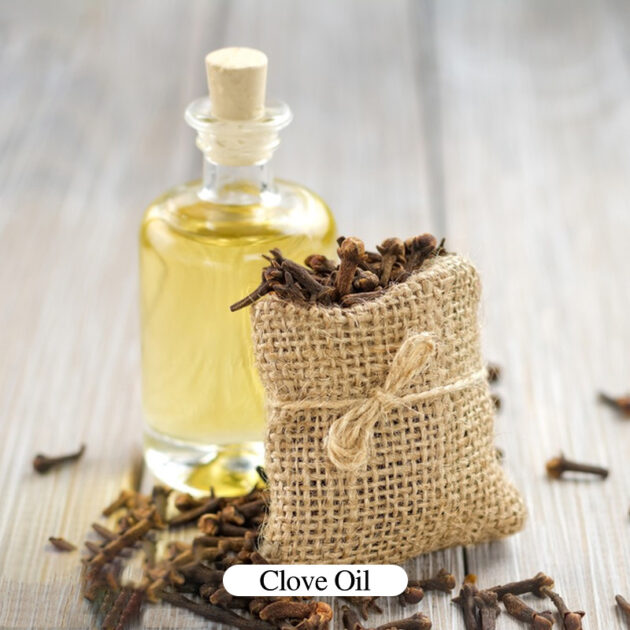 Clove Oil