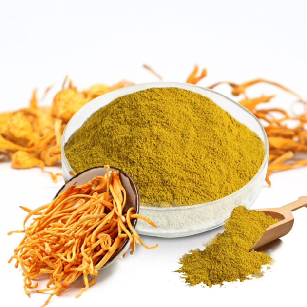Cordycepin CAS:73-03-0