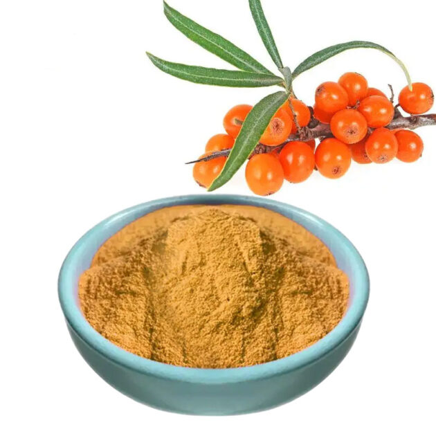Sea buckthorn extracts CAS:90106-68-6