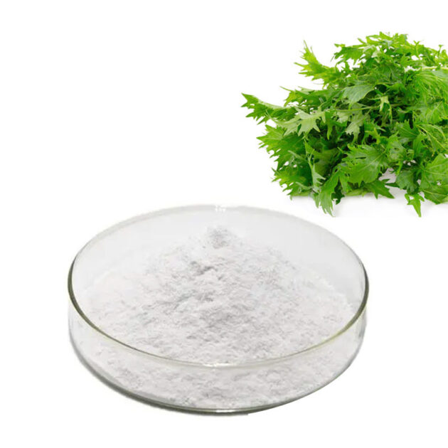 Stachyose tetrahydrate  CAS: 10094-58-3