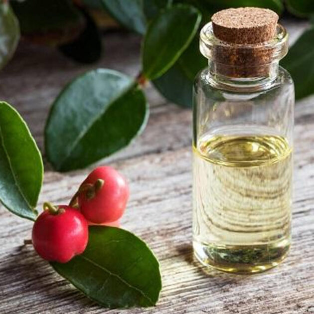 Synthetic Wintergreen oil