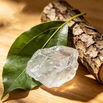 Natural Camphor CAS：464-49-3