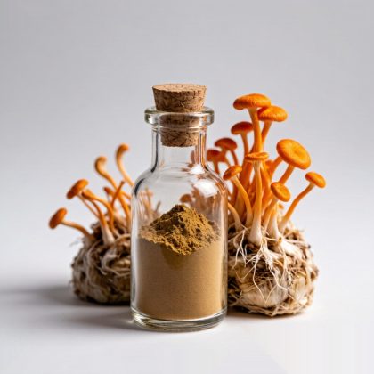 Militaris powder CAS: 140143-09-9