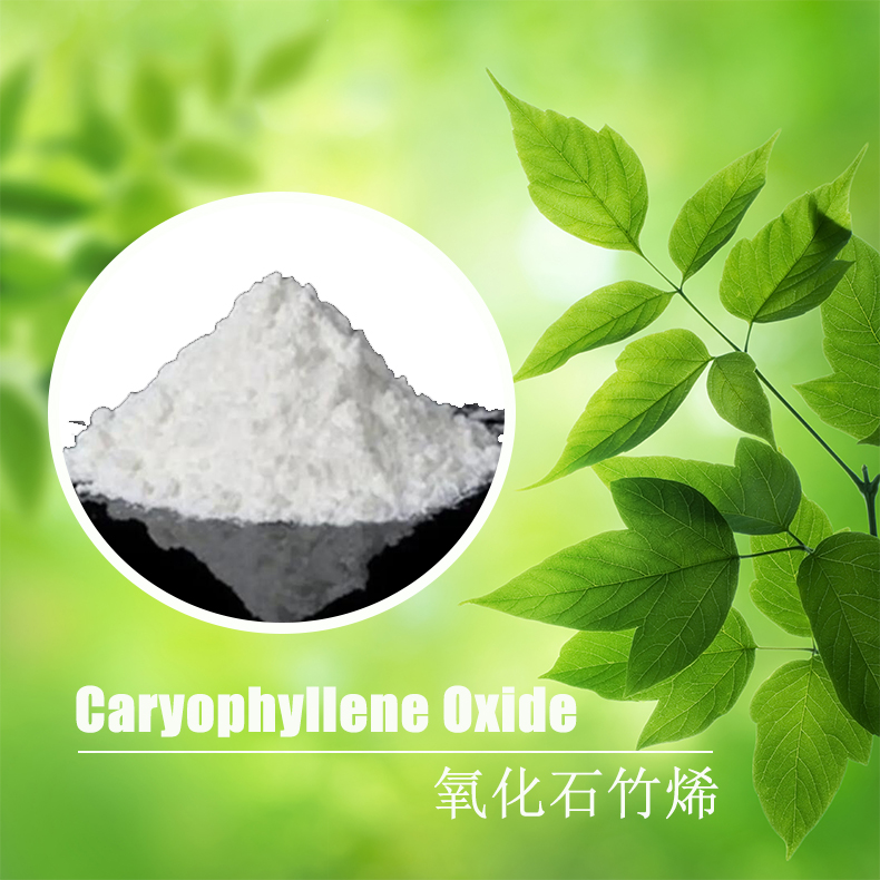 Natural Organic Intermediates Write Powder CAS1139-30-6 95%Caryophyllene Oxide Food Cosmetic Preservatives Skin Healthy Care