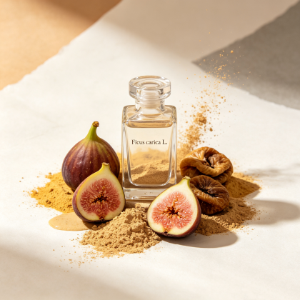 Ficus carica L.