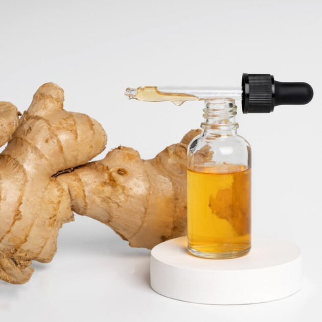 Ginger Extract N2550