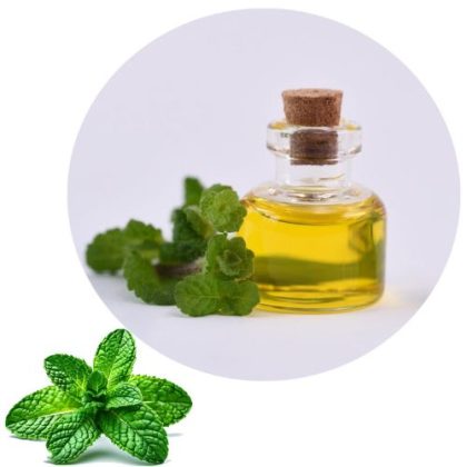 Mint Oil Flavor