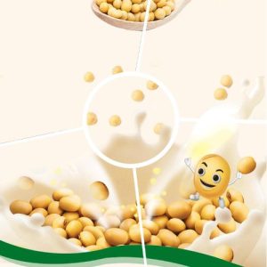 Soybean Milk Powder Flavor