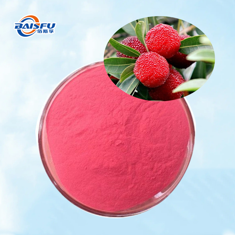Food Grade Freeze Dried Red Bayberry Powder