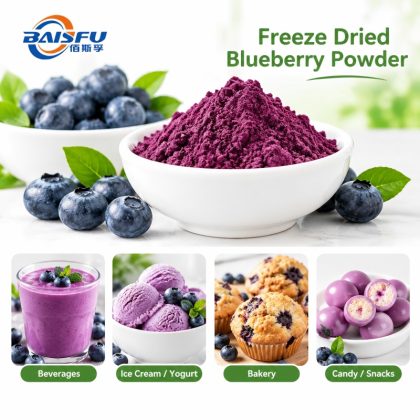 Food Grade Freeze Dried Blueberry Powder Rich in Natural Anthocyanins and Dietary Fiber